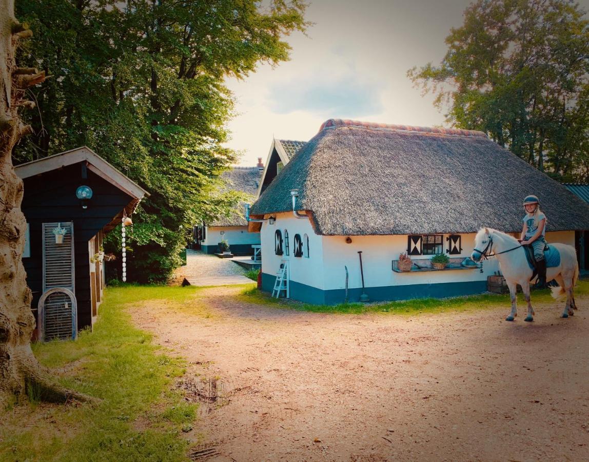 Bakhuisje Op De Veluwe Heerde Esterno foto