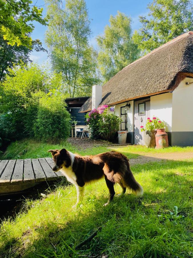 Bakhuisje Op De Veluwe Heerde Esterno foto