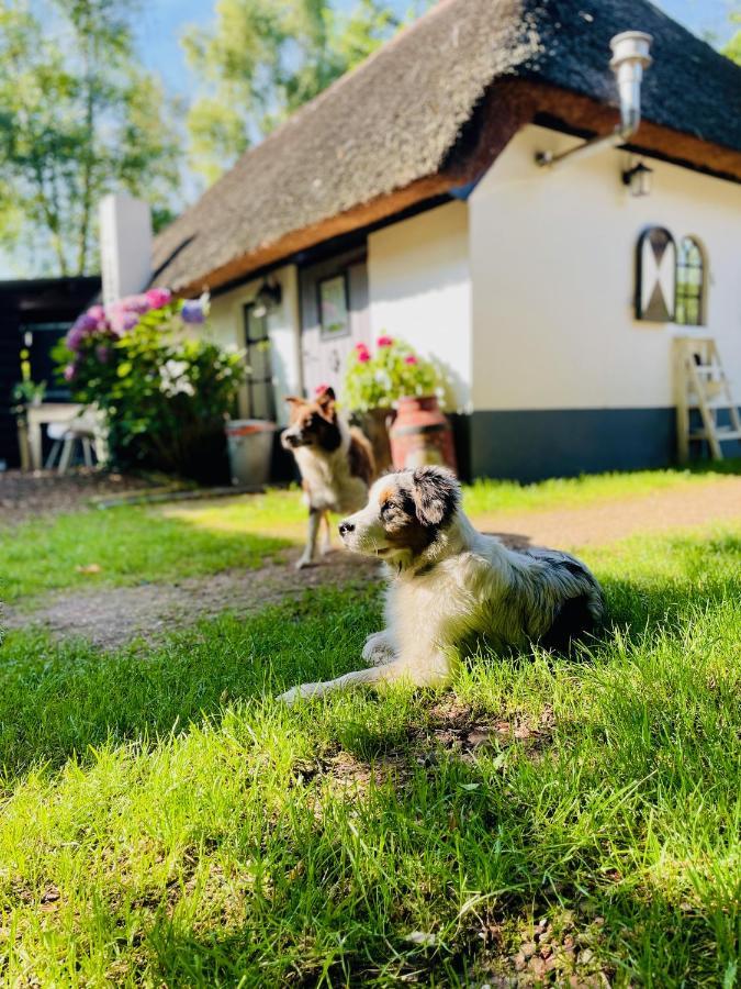 Bakhuisje Op De Veluwe Heerde Esterno foto